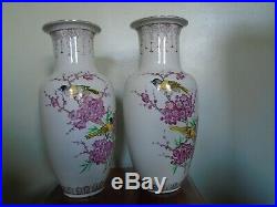 A Nice Large Pair of Chinese Hand Painted Vases of Birds and Flowers