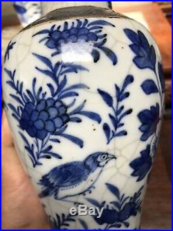 A pair of 19th Chinese blue and white vase