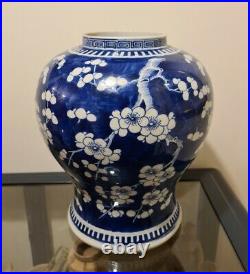 Antique CHINESE Large Prunus Blossom Four Character Kangxi Mark Jar / Vase