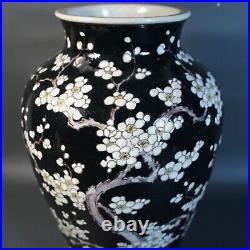 Antique Chinese/Japanese Famille Noir Porcelain Vase Prunus Blossom, Large
