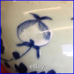 Antique Chinese Large Blue And White Ginger Jar Phoenix And Rose Height 18cm