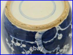 Chinese Large Porcelain Blue & White Ginger Jar Vase Prunus Decoration