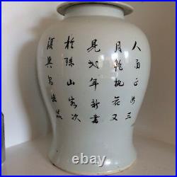 Chinese Large Temple Jar Vase