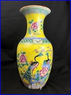 Chinese Porcelain Vase, Famille Rose, Large, Yellow, Late Qing, 19th C, Phoenix