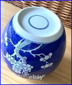 Chinese Prunus Blue & White Large Ginger jar 17cm Kangxi Mark