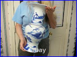 Finely painted large Chinese porcelain blue and white phoenix tail vase 19th C