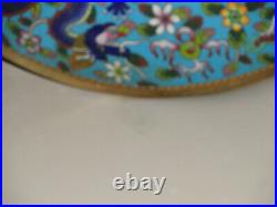 Good Chinese Cloisonne Imperial Dragons Flaming Pearl Large Charger Low Bowl 18