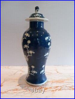 Kangxi Large Cobalt Blue Prunus Chinese Hawthorn Baluster Vase