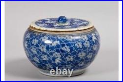LARGE 18th/19th CENTURY PORCELAIN BLUE & WHITE CHINESE JAR WITH MATCHING LID