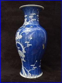 LARGE CHINESE PORCELAIN VASE BLUE PRUNUS HANDPAINTING PERFECT SHAPE 19th C