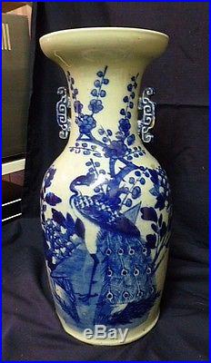 Large 19th C Blue And White Chinese Vase With Peacock Decoration