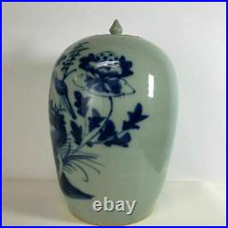 Large 19th C Chinese Porcelain Celadon Carved Jar With Bird Decoration