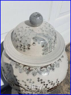 Large Antique Chinese Blue & White Ceramic Lidded Temple Jar Plum China 17 3/4