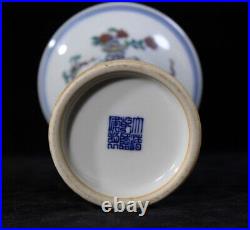 Large Antique Chinese DouCai Hand Painting Porcelain Vase QianLong Marked