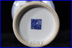 Large Antique Chinese DouCai Hand Painting Porcelain Vase QianLong Marked