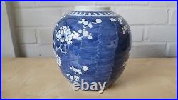 Large Antique Chinese Prunus Blue & White Ginger jar 17cm Kangxi Ring Mark