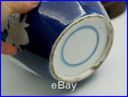Large Beautiful Chinese Antique Blue and White Porcelain Bird Vase / Jar