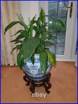 Large Blue/White Victorian Antique Pottery Vase, Wooden Stand & Plant
