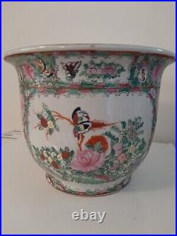 Large Chinese 6 Characters Marked Famille Bird, Butterflies & Flowers Pattern