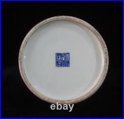 Large Chinese Antique Hand Painting DouCai Porcelain Vase QianLong Marks