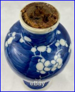 Large Chinese Antique Prunus VaseBlue Ring Kangxi MarkChinaHand Painted