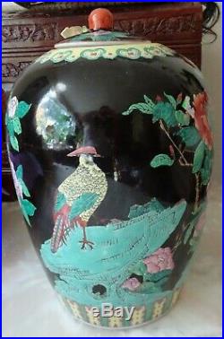 Large Chinese Antique porcelain Ginger Jar With Lid 16 Tall Peacocks flowers