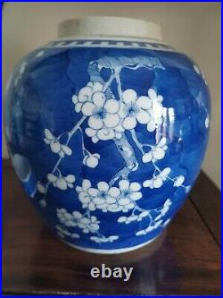 Large Chinese Blue And White Prunus Ginger Jar. With Original Lid. Qing 20cm