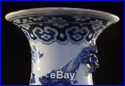 Large Chinese Blue & White Peacock / Duck Birds Vase 1800's