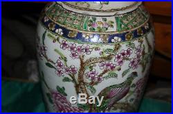 Large Chinese Ceramic Vase-Painted Birds Flowers-Signed Bottom-Detailed-#1