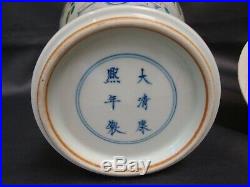 Large Chinese Porcelain Famille Rose 18 Lidded Jar Kangxi Mark 20th Century