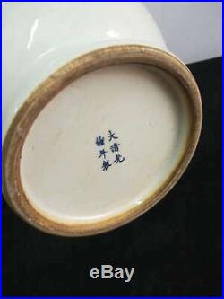 Large Excellent Chinese Porcelain Shrimp Vases Hand-carving Bottle Marks GuangXu