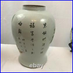 Large Jar. Chinese Porcelain. Peony, Birds, Poem. Red Artist Seal. Qing. 15