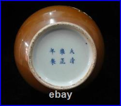 Large Old Chinese Brown Porcelain Hand Painting Vase Marked YongZheng