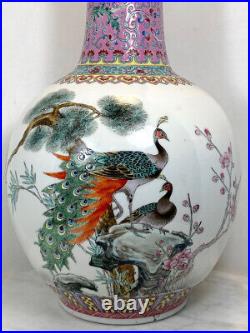 Large Vintage Chinese Famille Rose Porcelain Vase Peacocks & Poem Stamped