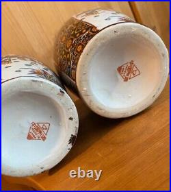 Large Vintage Hand Painted Chinese Porcelain Set Of Two Vase