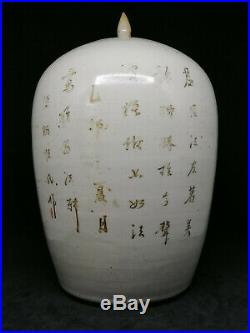 Large polychrome Chinese ginger jar // 19th century