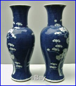 Pair Chinese porcelain prunus painted blue and white large vases Qing