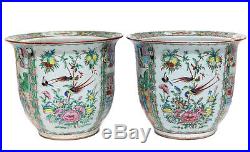 Pair large Chinese Porcelain Rose Canton hand painted jardinieres 19th Century