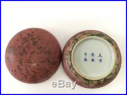RARE Large Antique Chinese Peachbloom Red Glaze Porcelain Box Vase Kangxi Mark