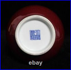 Rare Large Chinese Old LangYao Red Glaze Porcelain Vase QianLong Mark