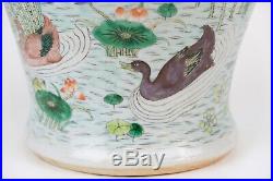 Wonderful Large Antique Chinese Porcelain Ducks and Waterplants Vase